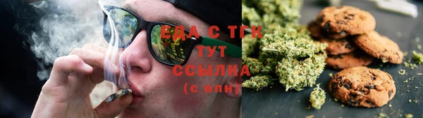 СК Дмитровск