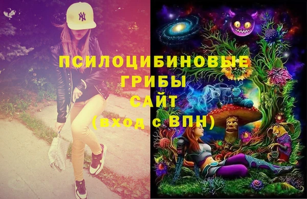 СК Дмитровск