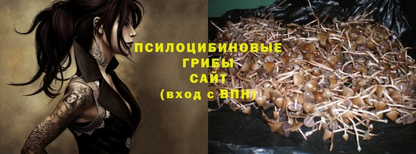 герыч Дмитров