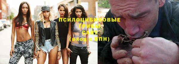 герыч Дмитров